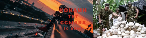 стафф Протвино