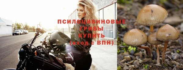 стафф Протвино