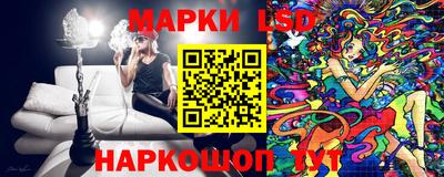 гидропоника Краснознаменск