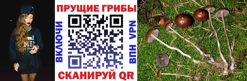 Галлюциногенные грибы мухоморы Кингисепп