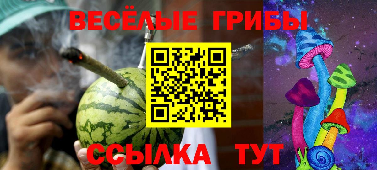 Псилоцибиновые грибы Psilocybe  Вход с VPN  Кингисепп 